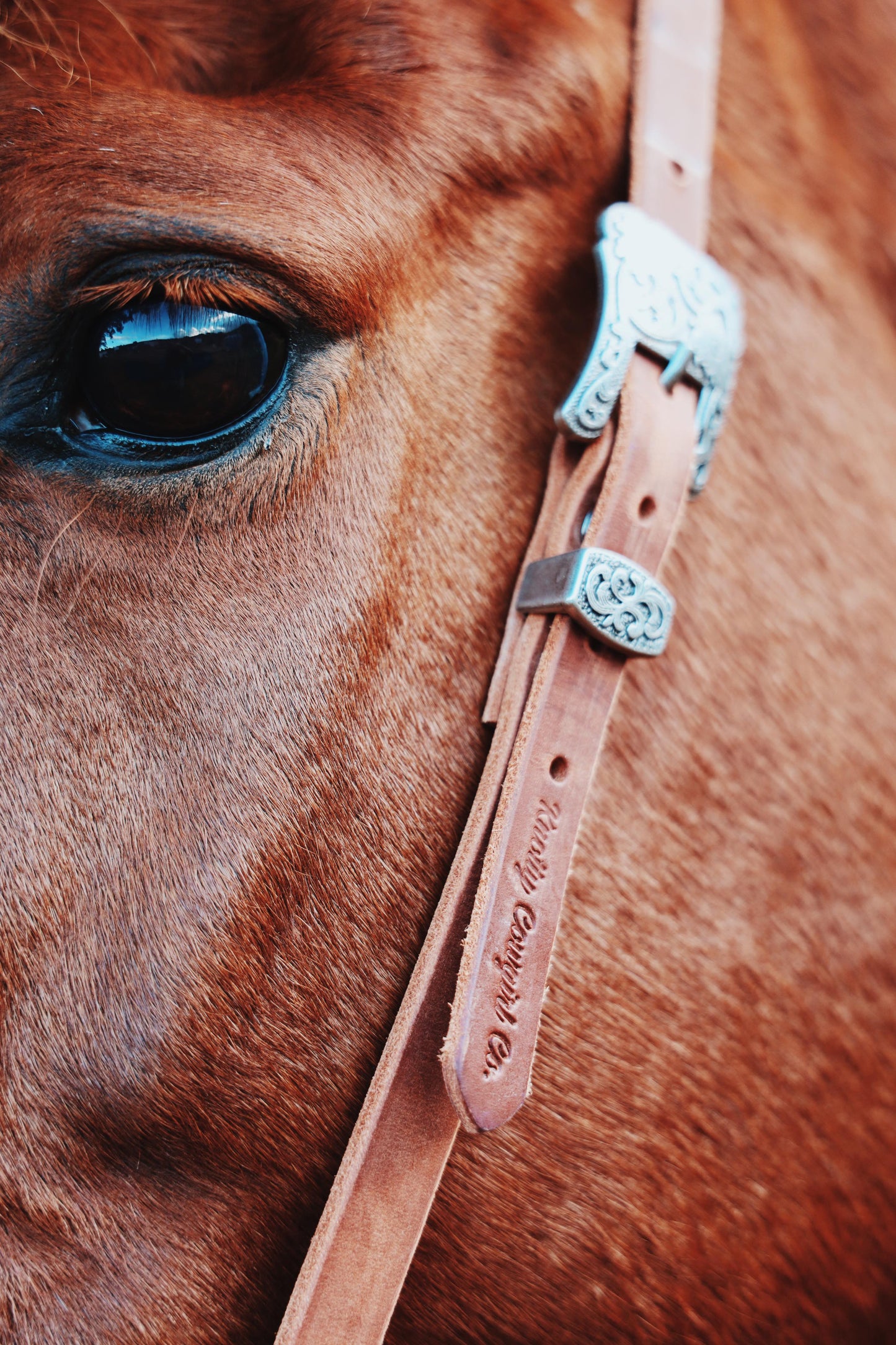 Braided Ear Headstall