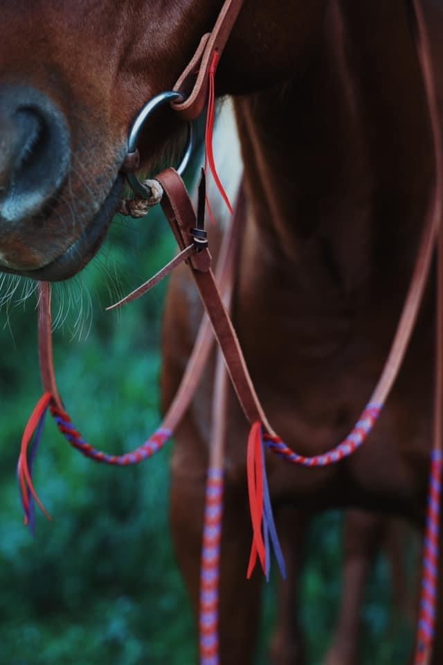 Laced Split Reins